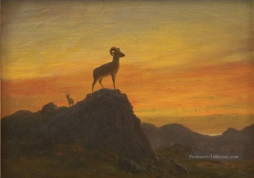 Albert Bierstadt œuvres - ROCKY MOUNTAIN SHEEP Américain Albert Bierstadt